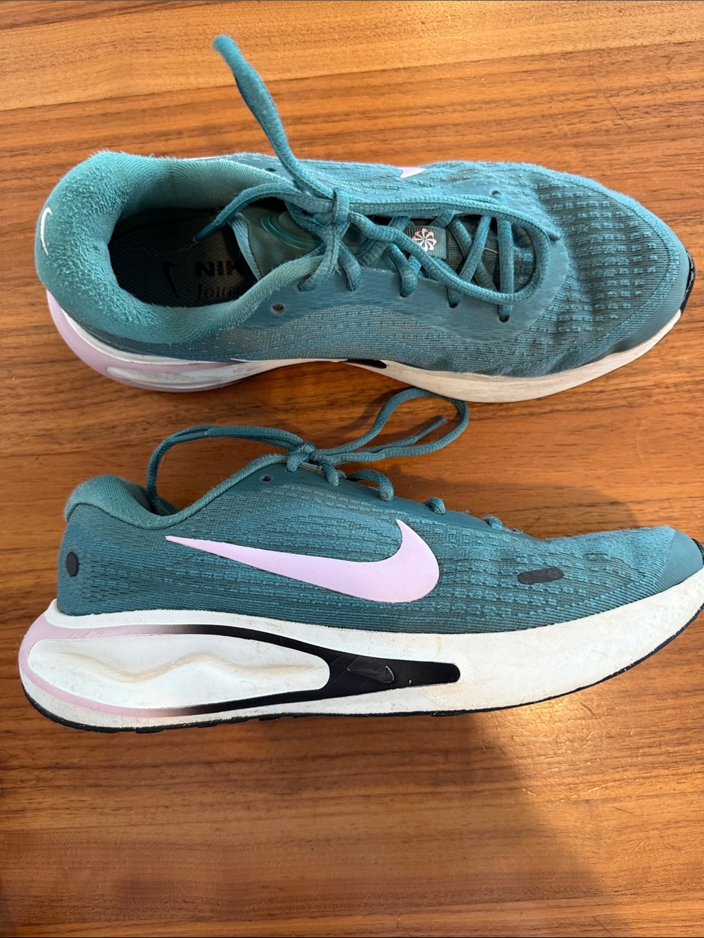 Nike Journey Run Bicoastal/Black/Sail/Pink Foam colorway women’s 9